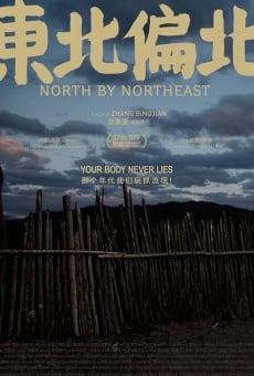 Película: Norte por Noreste