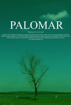 Palomar online free