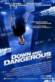 Película: Down and Dangerous