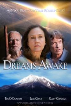Dreams Awake (2011)