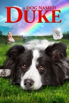 Película: Duke