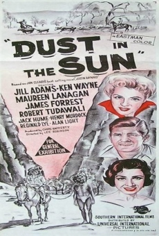 Dust in the Sun