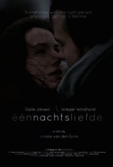 Película: Eénnachtsliefde