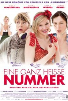 Eine ganz heiße Nummer (2011)