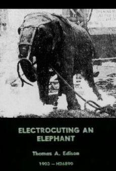 Electrocuting an Elephant (1903)
