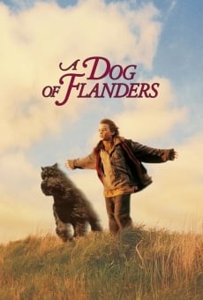 A Dog of Flanders online streaming