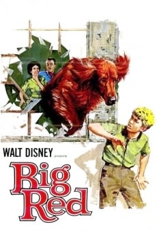 Big Red, película en español