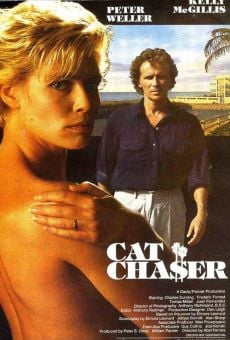 Cat Chaser online free
