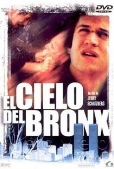 Película: El cielo del Bronx