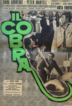 Il Cobra stream online deutsch