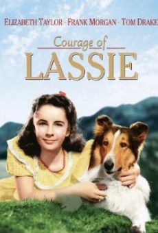 Il coraggio di Lassie online streaming