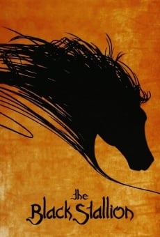 The Black Stallion Online Free