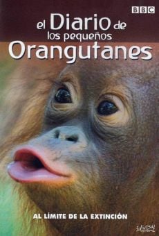 Película: El diario de los pequeños orangutanes
