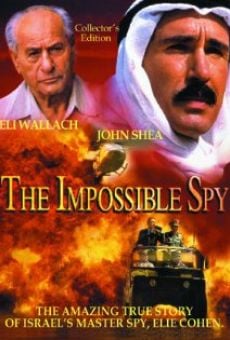 Película: El espía imposible