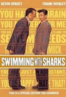 Swimming with Sharks online free