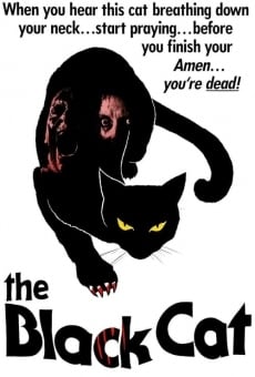 Black Cat: Gatto nero online streaming