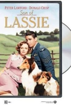 Película: El hijo de Lassie