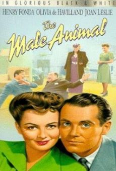 The Male Animal online free