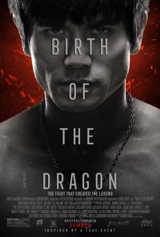 Birth of the Dragon en ligne gratuit
