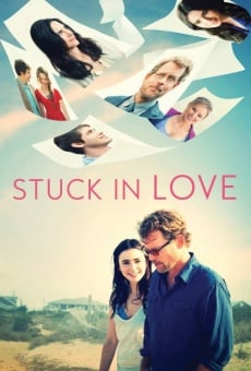 Stuck in Love. online streaming