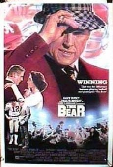 The Bear (1984)