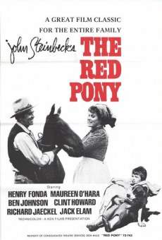 Le poney rouge