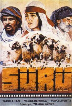 Sürü (1978)