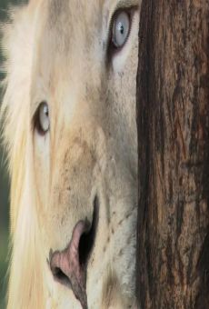 Película: El regreso del león blanco