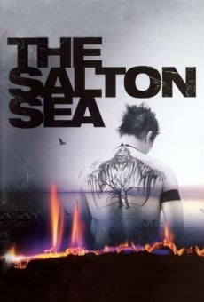 The Salton Sea gratis