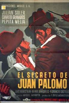 El secreto de Juan Palomo online streaming