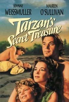 Il tesoro segreto di Tarzan online streaming