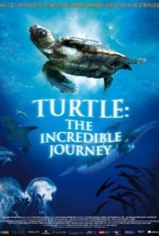 Película: El viaje de la tortuga