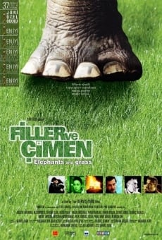 Película: Elephants and Grass