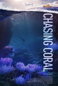 Chasing Coral online streaming