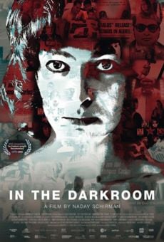 In the Dark Room (2013)