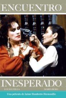 Encuentro inesperado (1993)