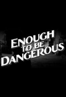 Enough to Be Dangerous online free
