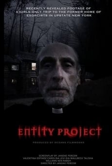Entity Project online