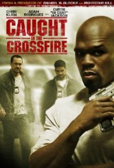 Caught in the Crossfire (2010)