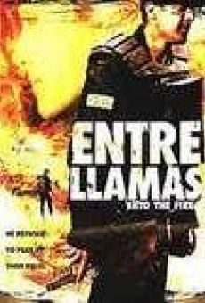 Entre llamas (2002)