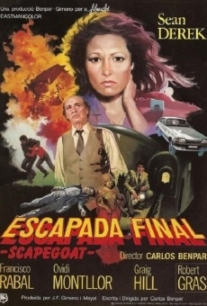Escapada final (Scapegoat) (1985)