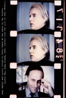 Scenes from the Life of Andy Warhol: Friendships and Intersections en ligne gratuit