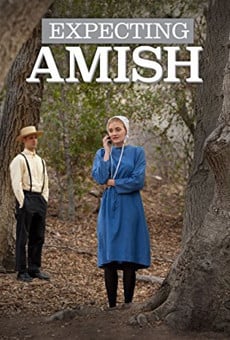 Expecting Amish