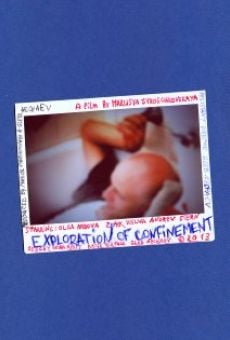 Exploration of Confinement (2013)