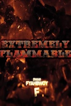 Película: Extremely Flammable