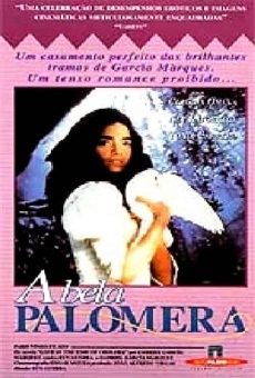 Película: Fable of the Beautiful Pigeon-Fancier