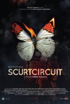 Scurtcircuit (2018)