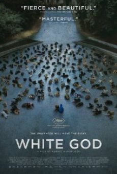 Película: Dios blanco