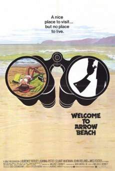 Welcome to Arrow Beach Online Free