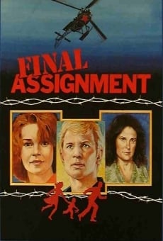 Final Assignment online streaming